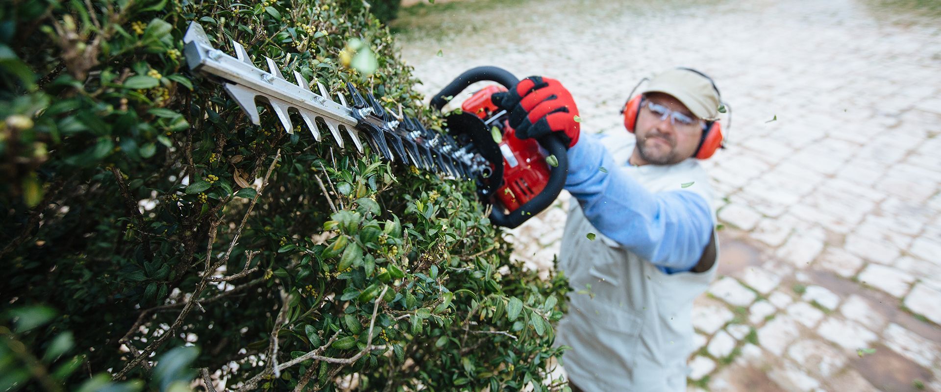 Hedge Trimmers