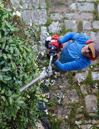 Long arm hedge trimmer discount