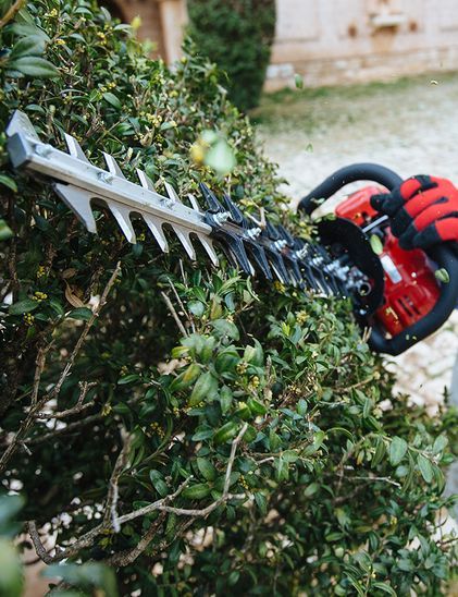 Hedge Trimmers