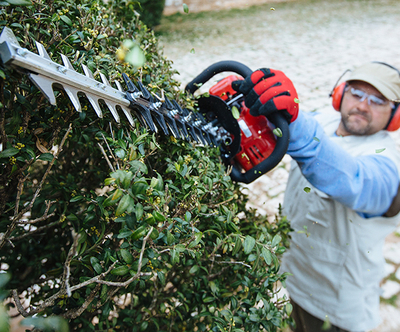 Hedge Trimmers