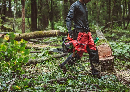  Optimising Your Chainsaw's Performance in Summer